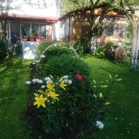Kwatera prywatna Casa Danci Ii Borşa