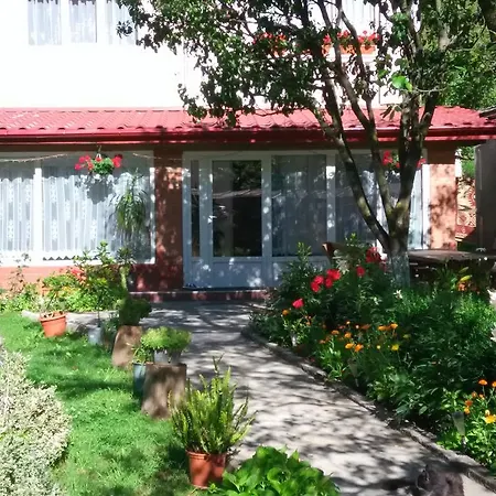 民宿 Casa Danci Ii Borşa