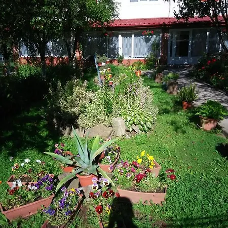 Casa Danci Ii Borşa