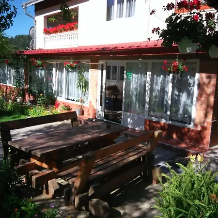 民宿 Casa Danci Ii