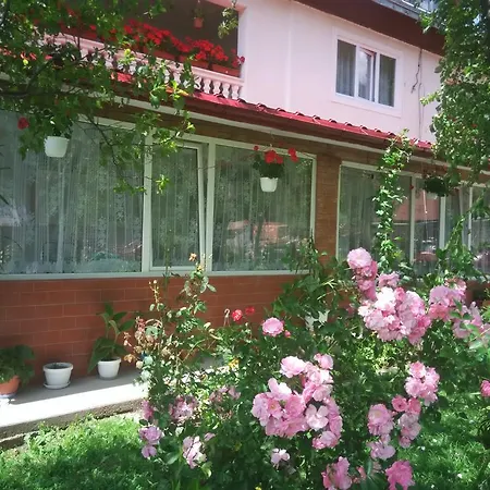 民宿 Casa Danci Ii
