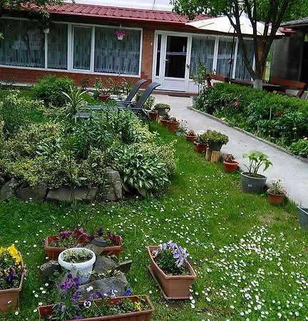 Casa Danci Ii Kwatera prywatna *