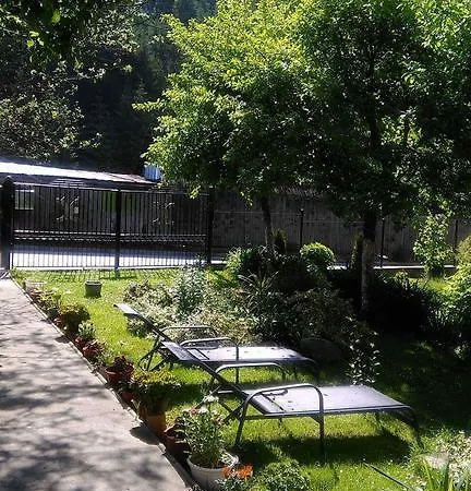 Casa Danci Ii 民宿 *