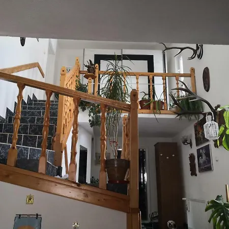 民宿 Casa Danci Ii Borşa