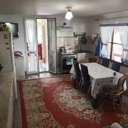 Casa Danci Ii 民宿 Borşa