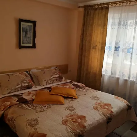 民宿 Casa Danci Ii Borşa